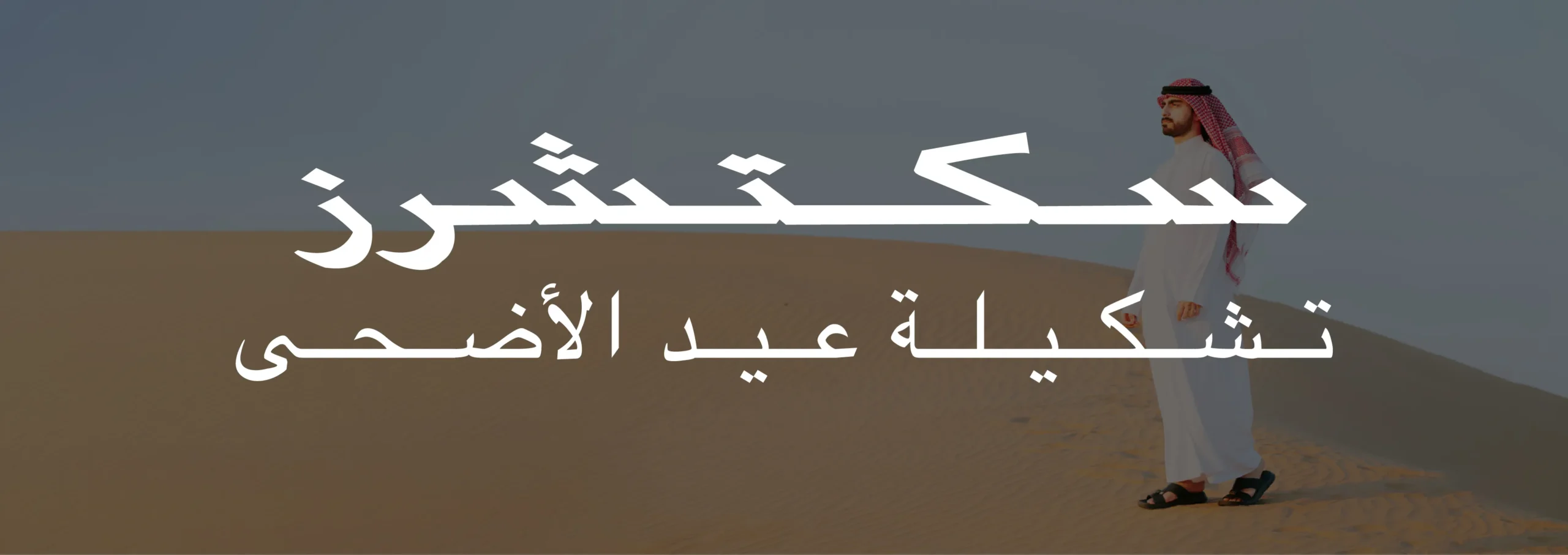 سكتشرز