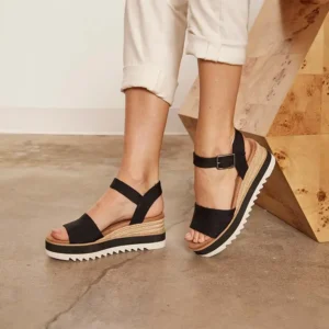 TOMS